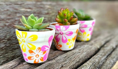 Cute terracotta planter pots Rtsyaustralia 💚 🤍 💚 #terracottapots #rtsyaustralia #handpainted pots #floral pots #www.etsy.com Visit www.etsy.com/shop/rtsyaustralia Cute Pots, Flower Colour, Colour Set, Terracotta Planter, Mini Plants, Terracotta Pots, Indoor Planters, Garden Planters, All Design