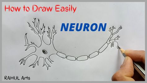 This video explains How to draw Diagram Of Nerve Tissue science biology in easy steps and compact way. This video helps you to draw science diagrams with great ease and clarity. Nervous or the nerve tissue is the main tissue of our nervous system. It monitors and regulates the functions of the body. Nervous tissue consists of two cells: nerve cells or neurons and glial cells, which helps transmit nerve impulses and also provides nutrients to neurons. Brain, Spinal Cord, and nerves are composed Nerve Cell Drawing, Nervous System Drawing, Neuron Drawing, Nervous Tissue, Science Pictures, Biology Drawing, Cell Diagram, Biology Diagrams, Science Diagrams