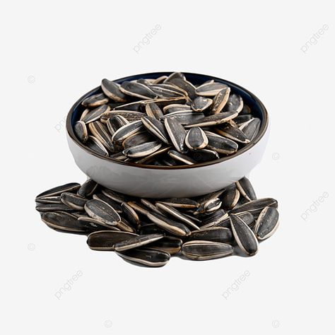 Shell Png, Photography Png, Ingredients Photography, Food Png, Map Pictures, Canvas Paint, Transparent Image, Food Diet, Sunflower Seed