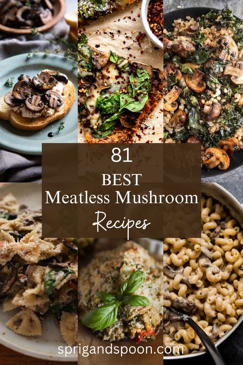 Whether you’re a seasoned vegetarian or you’re giving Meatless Monday a try, this collection of the best vegetarian mushroom recipes will help! Mushroom Recipe Vegetarian, Vegetarian Dinner Recipes With Mushrooms, Easy Vegan Mushroom Recipes, Mushroom Dinner Recipes Vegetarian, Mushrooms As Meat Replacement, Vegetarian Recipes Mushroom, Healthy Recipes With Mushrooms, Mushroom Main Dish Recipes, Mushroom Vegan Recipes