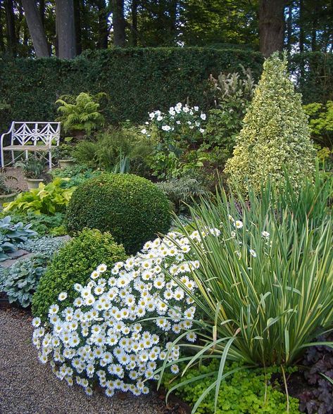 Design Guidelines, Moon Garden, Cat Garden, White Garden, Love Garden, Plant Combinations, White Gardens, Garden Club, Landscaping Design