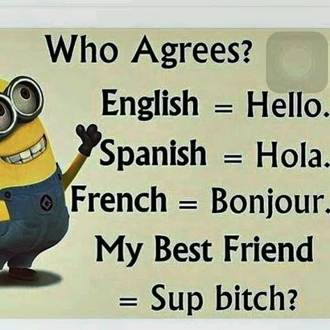 Minions Cute, Funny Quotes Wallpaper, Funny Mean Quotes, Funny Minion Memes, Minion Memes, Funny Day Quotes, Minion Pictures, Minion Jokes, Funny Mind Tricks