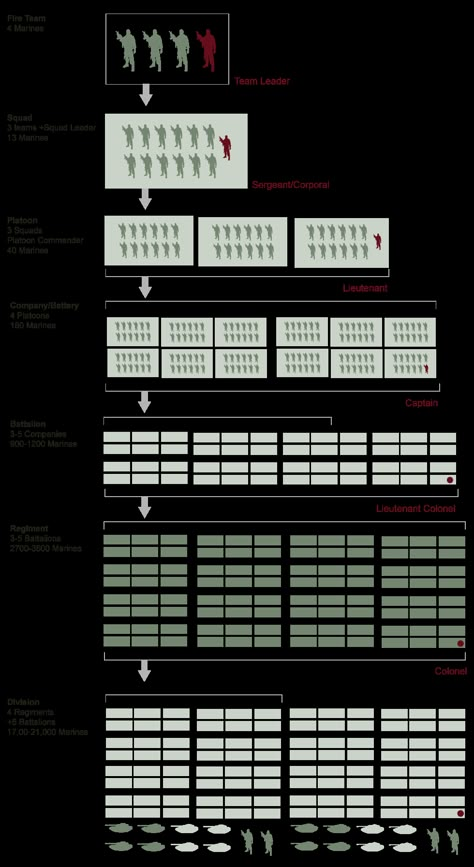 US Military Structure Chart | Army Rank Structure | VetFriends.com Marine Corps Rank Structure, Army Formation, Army Structure, Future Warfare, Army Divisions, Ranking List, Army Ranks, Military Tactics, Military Ranks