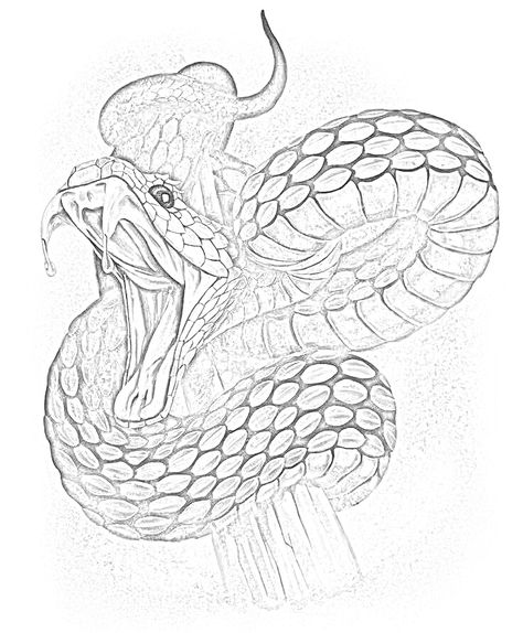 Cobra Back Tattoo, Cobra Sketch, Marian Tattoo, Cobra Tattoo, Snake Photos, Snake Drawing, Snake Tattoo Design, Magic Man, 3d Drawings