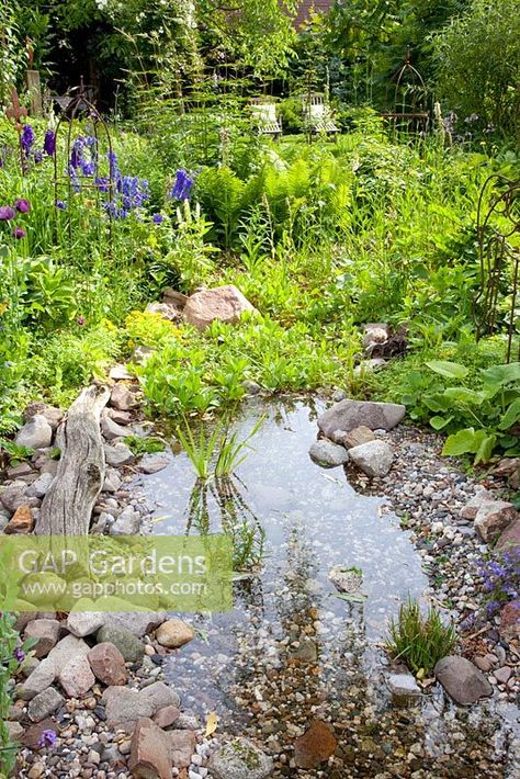 Pond In Garden, Garden Ponds Ideas, Wildlife Garden Design, Ponds Ideas, Garden Stream, Small Water Gardens, Ponds For Small Gardens, Garden Ponds, Bog Garden