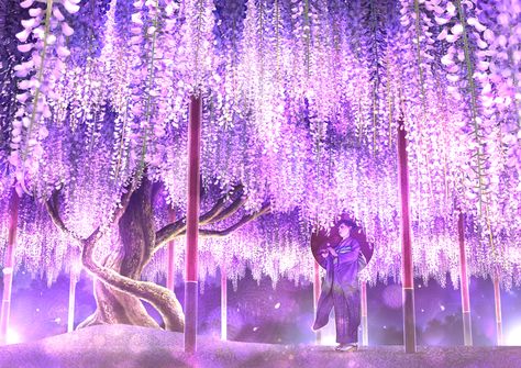 Like it. Follow me please♥  Follow chéo nha Wallpaper Abyss Solar Flares, Wallpaper Purple, Japanese Landscape, Blossom Tree, Wisteria, Anime Background, Anime Scenery, Purple Flowers, Kimetsu No Yaiba