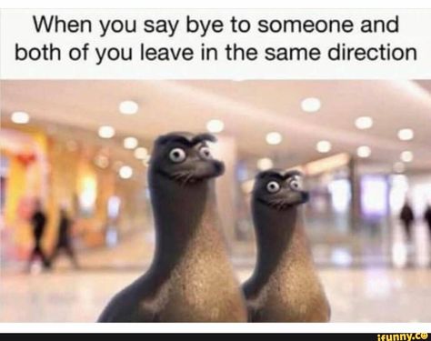 When you say bye to someone and both of you leave in the same direction – popular memes on the site iFunny.co #onedirection #celebrities #when #say #bye #leave #same #direction #pic Friendship Memes, Best Funny Photos, Friendship Humor, One Direction Memes, Memes Br, Fresh Memes, Humor Memes, Love Memes, Funny Relatable Quotes