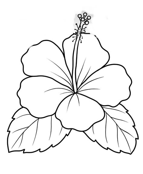 Louts Design Drawing, Hibiscus Embroidery Design, Drawings Of Hibiscus Flowers, Single Flower Drawing Simple, Lilly Flower Drawing Simple, Hibiscus Coloring Page, Flower Drawing Template, Hibiscus Outline Drawing, Easy Flowers Draw