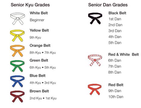 Judo belt progression Judo Wallpaper, Judo Belt, Taekwondo Belts, Judo Training, Judo Gi, Karate Belt, Kyokushin Karate, Shotokan Karate, Nunchucks