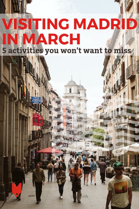 Winter is over and spring has officially arrived! From street parties to iconic attractions to a fabulous design market and so much more, there's no shortage of things to do in Madrid in March. This travel guide will help you make your time in Spain's capital city one of the best trips of your life! #Madrid #traveltips Madrid Guide, Travel Guide Design, Guide Design, Visit Madrid, Madrid Travel, Spanish Culture, Travel Humor, Places In Europe, Outdoor Quotes