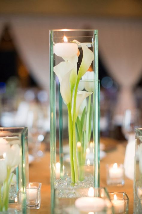 Bat Mitzvah Centerpiece- White Calla  Lily in Clear Vases #batmitzvah #southcarolinaevents White Calla Lily Centerpiece, Calla Lily In Vase, Calla Lillies Centerpieces, Tall Clear Vase, Diy Vase Decor, Bat Mitzvah Centerpieces, Calla Lily Centerpieces, Mitzvah Centerpieces, Lily Centerpieces