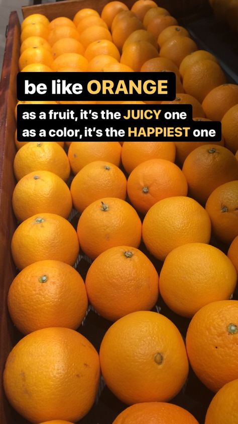 #quote #orange #fruit #happy Fruit Quotes, Orange Quotes, English Aesthetic, Hbd Quotes, Say What You Mean, School Wall Art, Fruit Picture, Orange Fruit, Just Kidding