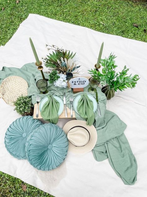 Green Theme Picnic, Glamping Picnic, Luxury Picnic Setup, Glam Picnic, Picnic Themes, Luxe Picnic, Picnic Business, Beach Picnic Party, Picnic Themed Parties