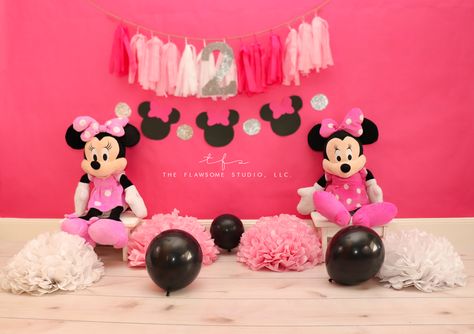 Minnie mouse birthday photoshoot! DIY indoor props! Mini Mouse Photo Shoot Ideas, Minnie Mouse Birthday Photoshoot, Minnie Mouse Photo Shoot Ideas, Diy Photoshoot Ideas, Photoshoot Diy, Oh Twodles, Minnie Mouse Birthday Outfit, First Birthday Photoshoot