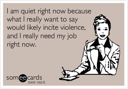 I am quiet right now because what I really want to say would likely incite violence, and I really need my job right now. Work Qoutes, Pharmacy Humor, Job Humor, Workplace Humor, Funny Work, Work Jokes, Parenting Memes, Office Humor, Clipuri Video