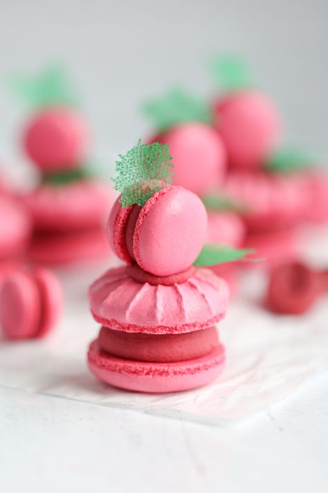 Raspberry Macaron Filling, Easy Macaroons, Easy Macaroons Recipe, Macarons Recipe Easy, Mini Macarons, Raspberry Macarons, Raspberry Ganache, Macaron Recipes, Macaroons Recipe