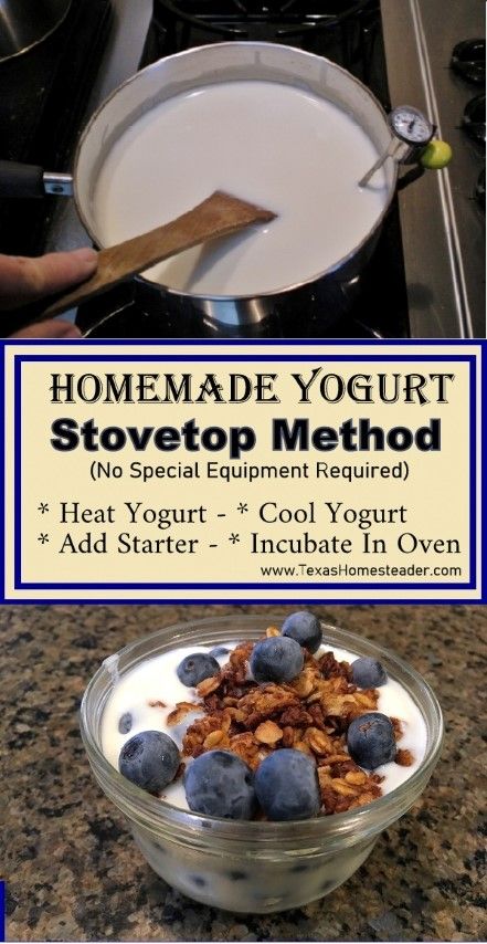 Homemade Yogurt Recipes, Diy Yogurt, Homemade Greek Yogurt, Making Yogurt, Yogurt Recipe, Yogurt Maker, Cheese Tasting, Homemade Yogurt, Yogurt Recipes