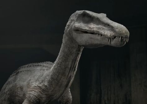 The Leucistic Baryonyx is a genetically modified variation of the Baryonyx. It bears a resemblance to animals that live strictly in the darkness of caves, such as the Mexican tetra. The Leucistic Baryonyx is a species of Baryonyx, and thus heavily resembles its counterparts. With a long crocodile-like snout, and powerful claws, the Leucistic Baryonyx differs when it comes to a whole other factor: sight. This species was cloned to develop without eyes, an adjustment that their creator Dr Sarr ... Baryonyx Art, Ixalan Dinosaur, Barbasol Jurassic Park, Baryonyx Dinosaur, Jurassic Park Troodon, Build A Dinosaur, Jurassic Park Poster, Tyrannosaurus Rex Paleoart, Chaos Theory