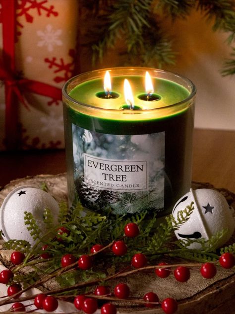 Evergreen Candle, Feeling Calm, Meditation Candles, Jar Candles, Large Jar, Evergreen Trees, Jar Candle, Votive Candles, Scented Candle