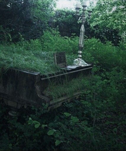 Abandoned piano outside with candles and overgrown vegetation on and around it Abandoned Piano, Overgrown Castle, Overgrown Aesthetic, Overgrown Garden, Rotten Fruit, Beautiful Ruins, Forest Floor, Human Art, Aesthetic Images