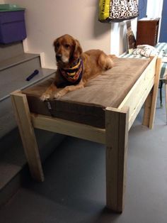 Dog Bed that is the height of your bed - adjust size to fit your dog Diy Raised Dog Bed, Outside Dog Bed, Diy Elevated Dog Bed, White Dog Bed, Raised Dog Bed, Wood Dog Bed, Raised Dog Beds, Wooden Dog Bed, Dog Window