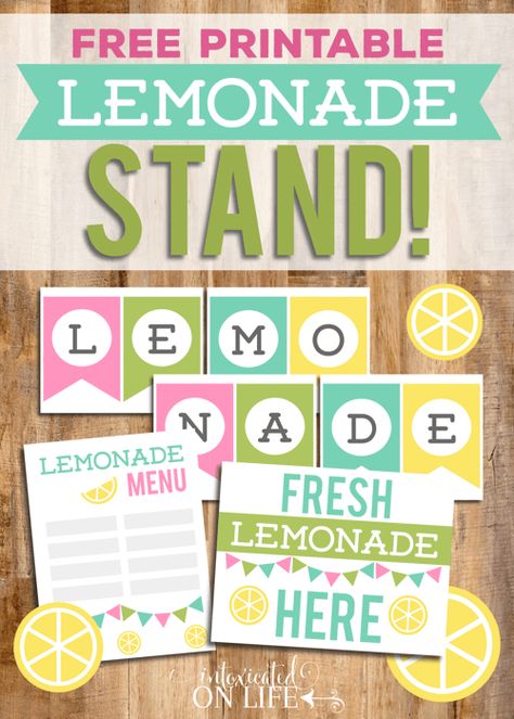 Lemonade Stand Printables, Lemonade Menu, Kids Lemonade Stands, Lemonade Stand Sign, Lemon Aid, Diy Lemonade Stand, Kids Lemonade, Play Preschool, Diy Lemonade