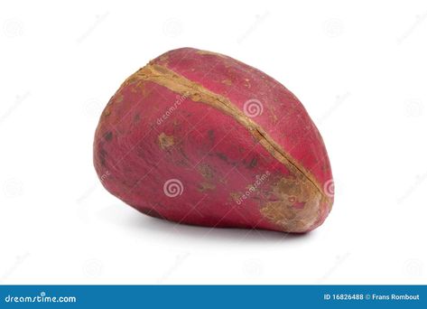 Whole single Kola nut close up on white background Editorial Illustration, Close Up, White Background, Photo Image, Royalty Free Stock Photos, Stock Photos