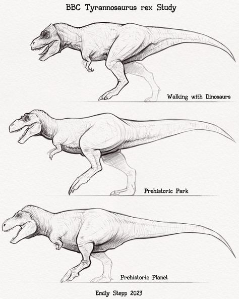 BBC Tyrannosaurus rex design study. Another pop-culture tyrannosaur piece commissioned by DracoTyrannus. I could draw tyrannosaurs every… | Instagram Tyrannosaurus Drawing, T Rex Drawing Reference, Dinosaur Reference, Draw Dinosaur, Tyrannosaurus Rex Drawing, Sketch Reference, Dinosaurs Drawing, T Rex Drawing, Dinosaur Drawings