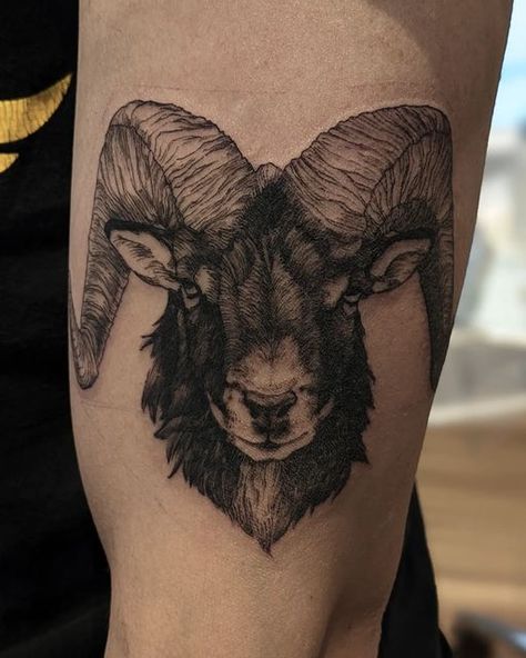 Ram Head Tattoo Design, Black Ram Tattoo, Ram Tattoo Feminine Aries, Rams Head Tattoo, Rams Tattoo, Black Phillip Tattoo, Ram Tattoos, Boyfriend Tattoos, Tattoo Ram