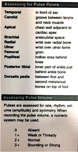 Pulse Points & Pulse Volume Pulse Points Nursing, Apical Pulse, Geriatric Nursing, Nursing Labs, Nurse Tips, Nurse Study, Cardiovascular Disorders, Nursing School Motivation, Nurse Study Notes