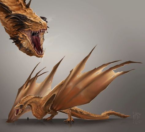 Elizabeth's Artwork 🍁🥀 | Vermithor "The Bronze Fury" 🤎 Vermithor was a bronze dragon with "great tan wings". Tolerant of the presence of people and more accepting… | Instagram House Of The Dragon Vermitor, Drake Dragon Art, Vermithor Dragon, Wyvern Art, Smaug Dragon, Targaryen Dragons, Dragon Poses, Big Dragon, Bronze Dragon