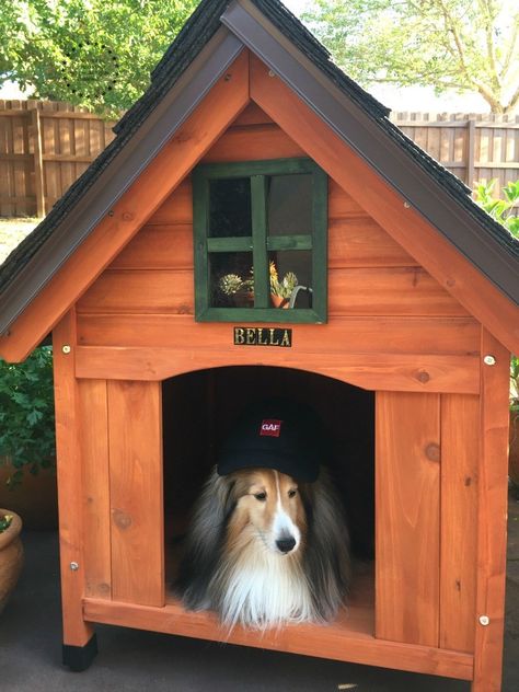 Building the Best Dog House: Same as we craft the best recipes we also built the best dog house for the most pampered of the family: Bella, our sheltie dog and kitchen companion. Outside Dog Houses For Big Dogs, Teacup Dog Breeds, Luxury Dog House, Building A Dog Kennel, Wood Dog House, Wooden Dog House, Large Dog House, Dog House Plans, Cool Dog Houses