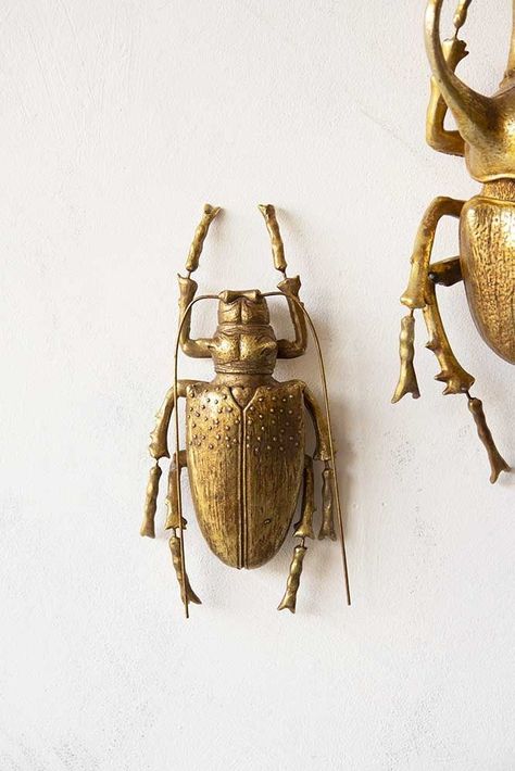 Ground Beetle, Wall Decor Eclectic, Gold Beetle, Wall Decor Gallery, 3d Printer Ideas, Unique Gallery Wall, Rockett St George, Decor Gallery Wall, Stag Beetle