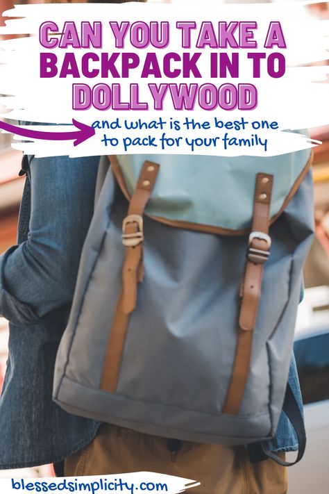 What To Pack To Dollywood, What To Wear To Dollywood In The Fall, Dollywood Park Outfit Summer, Dollywood Park Outfit Fall, What To Wear To Dollywood, Dollywood Park Tips, Dollywood Park Outfit, Dollywood Trip, Large Families Living