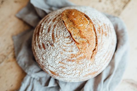 You Can Bake Bread in Your Air Fryer—And This Sourdough Recipe Is Stacked with Gut-Health Benefits Frozen Yogurt Bites, Yogurt Bites, Carrot Cake Oatmeal, Country Bread, Sourdough Bread Recipe, Sourdough Recipes, Artisan Bread, Sourdough Starter, Loaf Bread