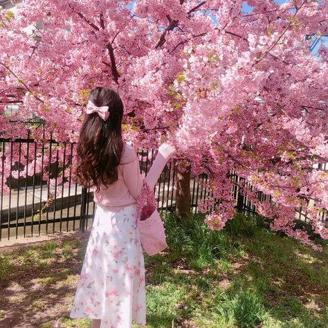 Cherry Blossom Outfit, Cherry Blossom Pictures, Profile Photography, Japan Cherry Blossom, Cherry Blossom Girl, Moonlight Photography, Spring Photoshoot, Flower Photoshoot, Cherry Blossom Season