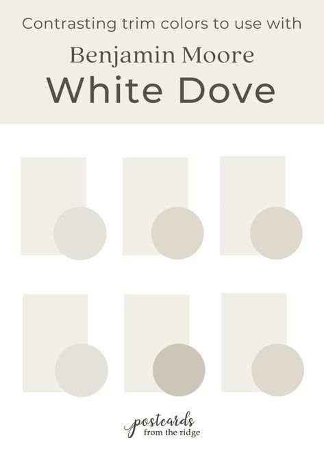 White Dove Benjamin Moore Walls, Dove Wing Benjamin Moore, White Dove Benjamin Moore, Dove Painting, Trim Paint Color, Warm Paint Colors, Dark Trim, Shoji White, Benjamin Moore White