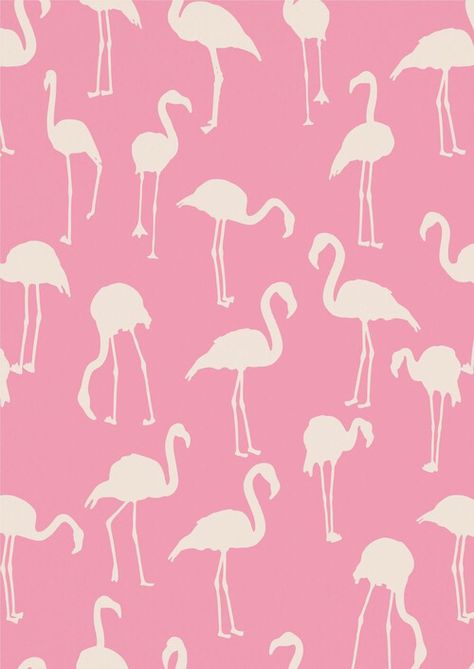 Flamingo Wallpaper, Conversational Prints, Flamingo Art, Flamingo Pattern, Pretty Backgrounds, 수채화 그림, Trendy Wallpaper, Flamingo Print, Pretty Prints