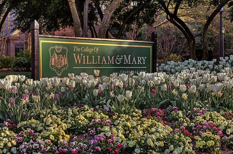 William And Mary College, College Core, East Coast Vacation, College Vision Board, Summer Moodboard, William & Mary, Virginia Travel, Pinterest Contest, William And Mary