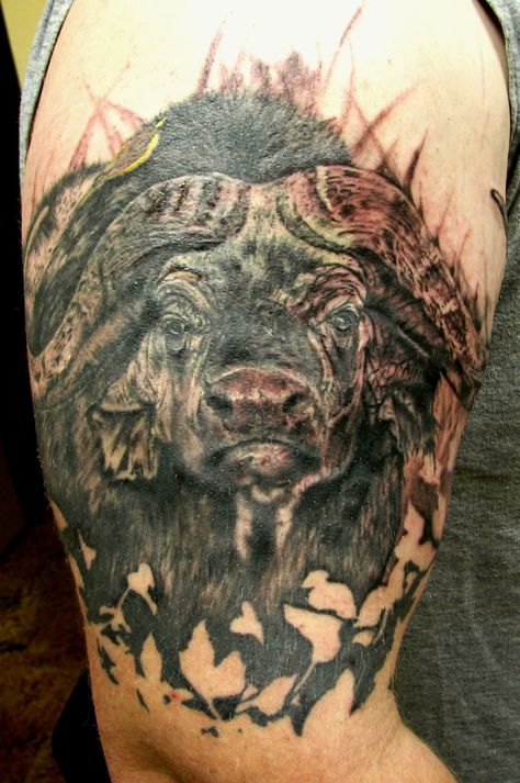 my cape buffalo tattoo done at HOLY ROLLER TATTOO Big Five Tattoo, African Tattoo Design, Buffalo Tattoo Ideas, Roller Tattoo, Five Tattoo, Mad Hatter Tattoo, Africa Tattoo, Daruma Doll Tattoo, Buffalo Tattoo