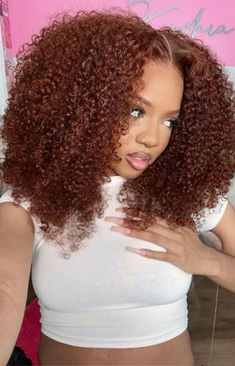 Afro Curl Wig, Color On Curly Hair Black Women, Afro Lace Front Wigs, Curly Fro Wig, Afro Wig Hairstyles, Curly Hair Wigs Black Women, Curly Wig Black Women, 4c Hair Color Ideas, Colored Curly Wig