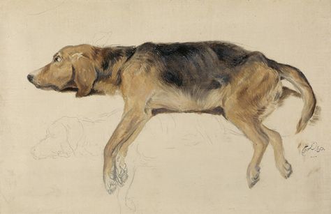 Sir Edwin Henry Landseer, 1802–1873, British, Study of a Dog Lying Down, 1860, Oil on canvas, Yale Center for British Art, Paul Mellon Collection Edwin Landseer, Aberdeen Art Gallery, Animal Painter, Dog Motif, Canine Art, Cleveland Museum Of Art, Dog Painting, Artist Life, Dog Images