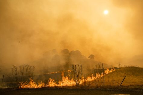 The annual World Meteorological Organization (WMO) report, published last month, observed a long-term trend of rising temperatures and increasing extreme weather events that make the climate crisis impossible to ignore or deny. Emergency Go Bag, California Wildfires, Emergency Plan, Climate Crisis, The Future Is Now, Emergency Prepping, Forest Fire, Extreme Weather, What To Pack