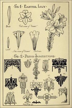 Lily Patterns in “Monumental Drawing and Lettering: The Lily in Applied Ornament” (1926) Lily Pattern Design, Art Nouveau Lily Tattoo, Lily Art Nouveau, Ornamental Drawing, Art Nouveau Lily, Carpet Design Pattern, Lily Illustration, Fleurs Art Nouveau, Madeline Weinrib