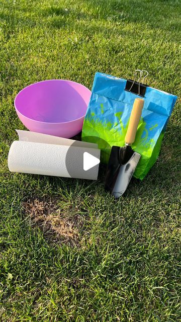 FarmerValley_Seeds_USA on Instagram: "❗️ Are those patches on your lawn after heat or pets driving you crazy? 🐾 Don’t panic – here’s a super simple hack! 💡 Instead of regular overseeding, try this:

🔸 Mix grass seeds, tear up some paper towels, add water, and stir. Use this paste to cover the gaps in your lawn. 🔸 Water every day, and in just a few days, you’ll see new sprouts! 🌱

🔥 Why is this better? The paper towels protect the seeds from birds 🐦, retain moisture 💧, and boost germination!

Don’t wait – revive your lawn easily and quickly! ✅

#gardeningtips #lawncare #lawnrepair #grassseeding #greenerlawn #gardeninghacks #diylawncare #healthylawn" Lawn Repair, Healthy Lawn, Grass Seed, Paper Towels, Simple Tricks, Lawn Care, Super Simple, Gardening Tips, Sprouts