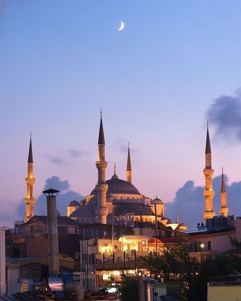 Blue Mosque Turkey, Blue Mosque Istanbul, Resident Evil Alice, Mosque Art, Month Of Ramadan, Mosque Architecture, Blue Mosque, Beautiful Mosques, Historical Background