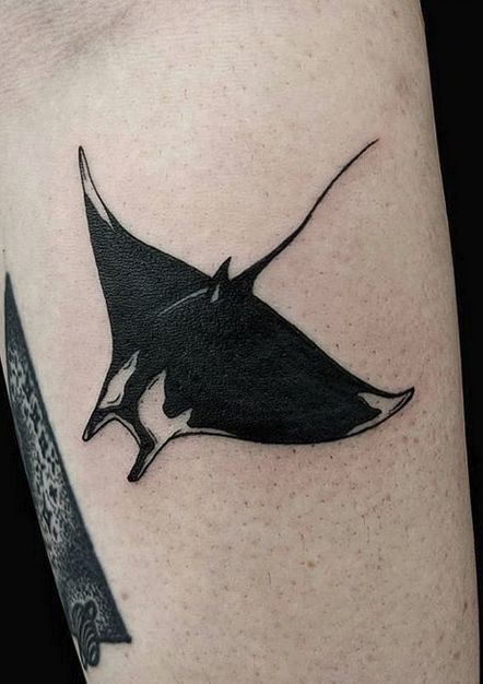 Manta Tattoo Back Manta Ray Tattoo, Small Nature Tattoos Wildlife, Manga Ray Back Tattoo, Traditional Manta Ray Tattoo, Giant Manta Ray Tattoo, Bat Ray Tattoo, Manga Ray Tattoo, Manta Rays Tattoo, Cute Cover Up Tattoos