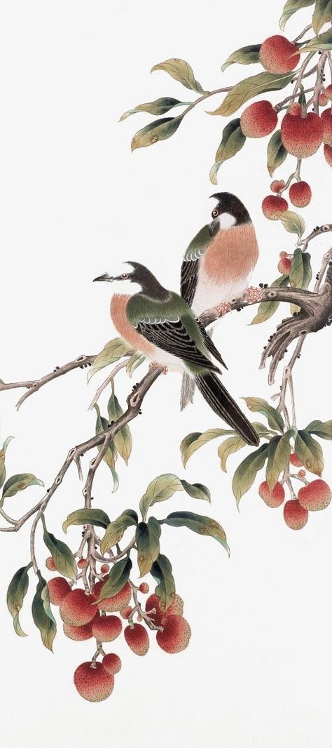 meticulous,traditional chinese painting,birds,ink,branches,traditional,chinese,painting,lychee clipart,trees clipart Chinese Painting Flowers, 16 Tattoo, Korean Painting, Japan Painting, Chinese Art Painting, Mary Cassatt, Asian Painting, Art Japonais, Korean Art