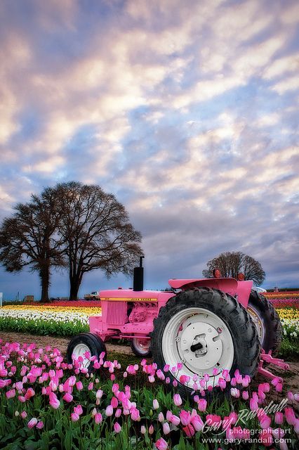 Our new neighbor, Irma, has a brand new Pink JD tractor. She let us borrow it for a couple of days. We'll have to send some veggies, baked goods and however many apples she wants. It's still picking season...... Budget Gifts, Pink Tractor, I Believe In Pink, Image Nature, Halloween Hair, Tickled Pink, Everything Pink, Diy For Girls