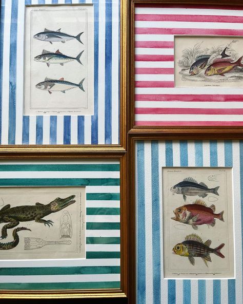 Lia Burke Libaire on Instagram: “More antique prints with striped mats coming soon! Mostly aquatic creatures and shellfish in this batch . . . #stripesonstripes #stripes…” Cheap Art Prints, Cuadros Diy, Aquatic Creatures, Sea Life Art, Sea Decor, Framed Botanicals, Home Inspo, Maximalism, Big Boy Room